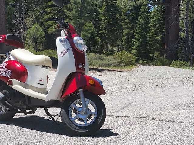 50cc Scooter